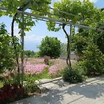 Holiday home Mikros Paradisos Pelion Agios Vlasios (Thessalia)