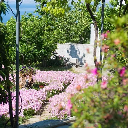 Mikros Paradisos Pelion Áyios Vlásios