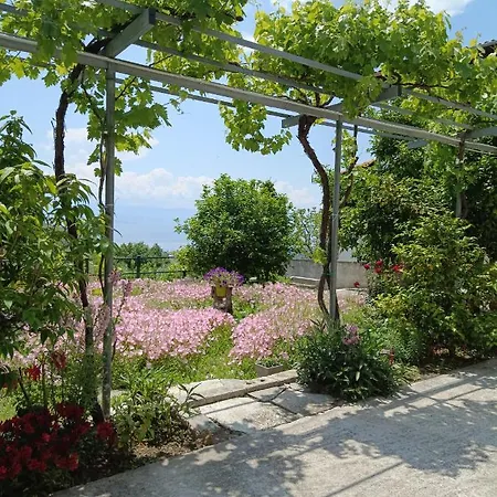 Holiday home Mikros Paradisos Pelion Agios Vlasios (Thessalia)