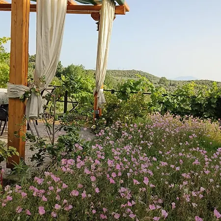 Mikros Paradisos Pelion بيت للعطل *