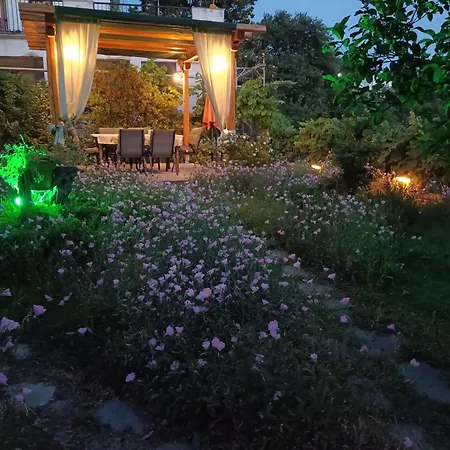 Mikros Paradisos Pelion بيت للعطل *
