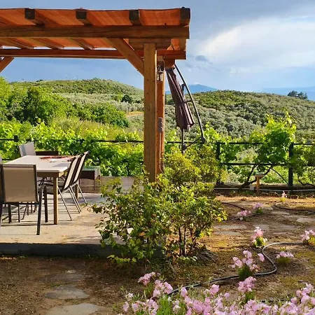 Mikros Paradisos Pelion * Áyios Vlásios
