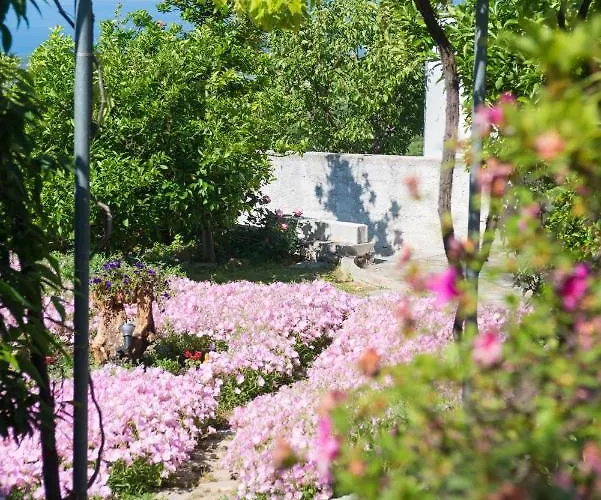 Mikros Paradisos Pelion Agios Vlasios (Thessalia)