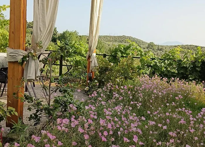 Mikros Paradisos Pelion Holiday home *