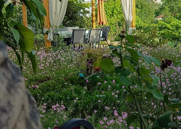 Semesterbostad Mikros Paradisos Pelion